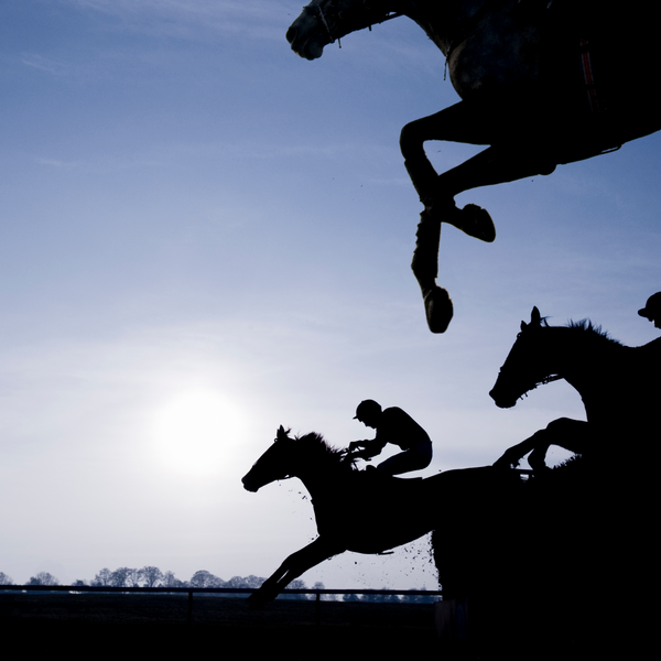 Unveiling the Magnificent Grand National Runners 2023: Experience the Thrill of the Race!