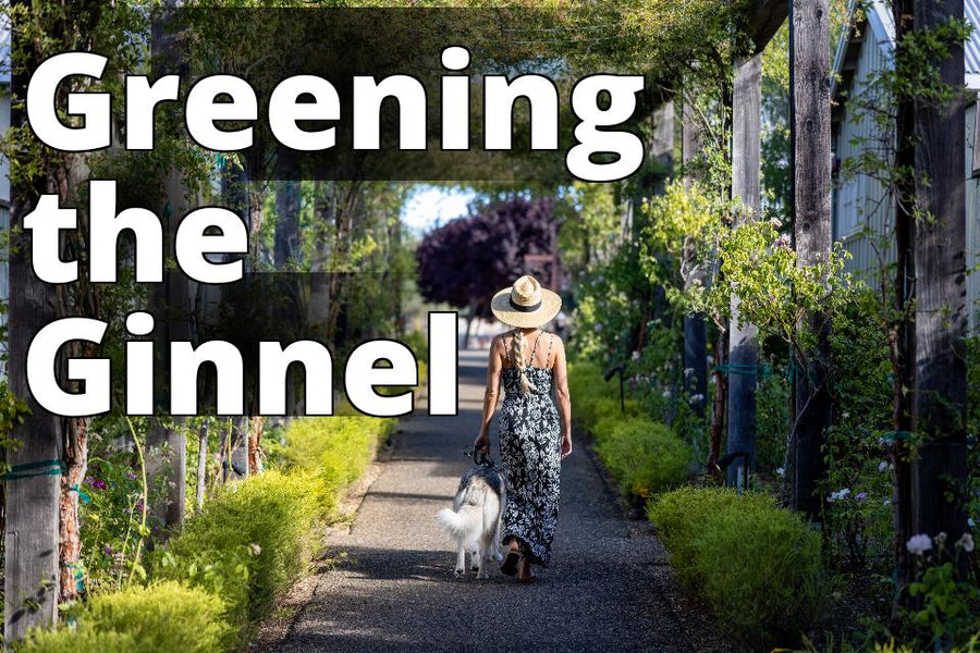 Ginnel Gardening The Ultimate Guide : Transforming Your Alleyway